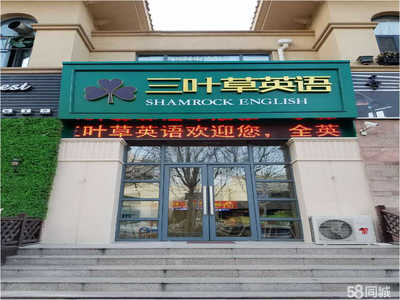 淄博三叶草教育咨询