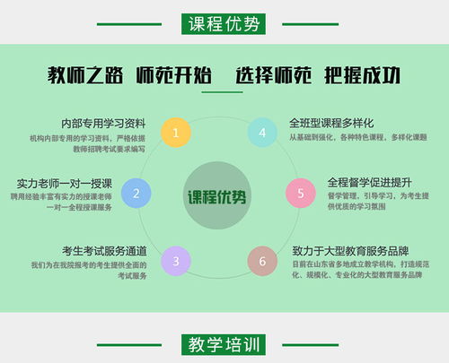 莒县教师编笔试培训咨询客服 师苑教育