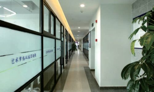 成都森博教育咨询好不好 成都森博整理收纳怎么样 淘学培训